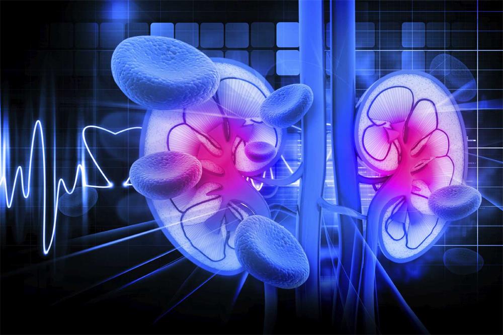 Here's What You Should Grasp about Symptoms of Diabetic Nephropathy