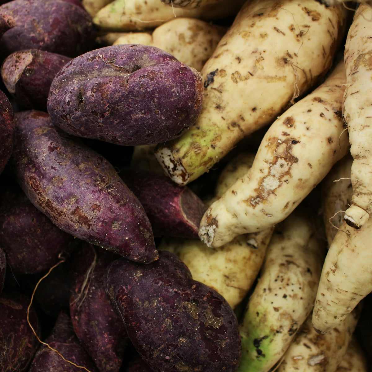 Choosing Between Sweet Potatoes and Purple Sweet Potatoes for Diabetic